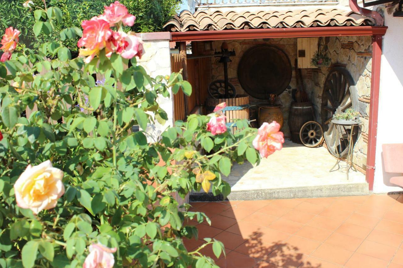 B&B La Vigna Lamezia Terme Esterno foto