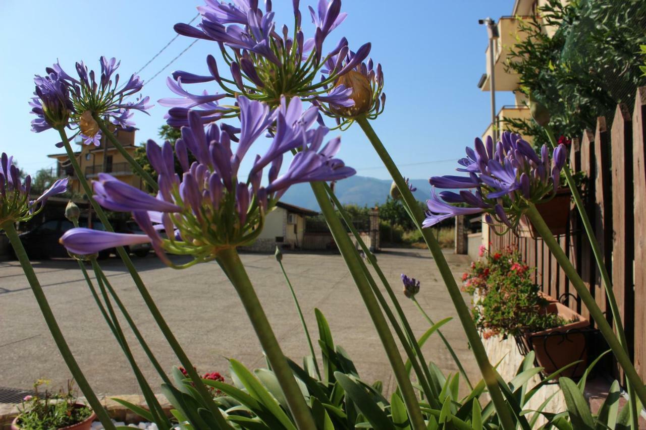 B&B La Vigna Lamezia Terme Esterno foto